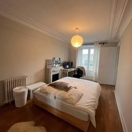 Parisian Apartment